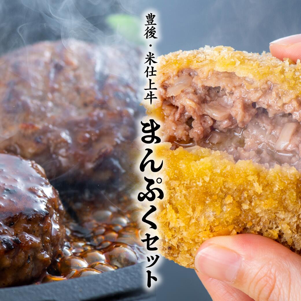 【ふるさと納税】ハンバーグ メンチカツ セット 計10個 豊後・米仕上牛 手作り 牛肉 大満足 肉 夕飯 時短 便利 惣菜 冷凍 ふるさと納税 送料無料 【大分県産ブランド牛】 【スピード発送】