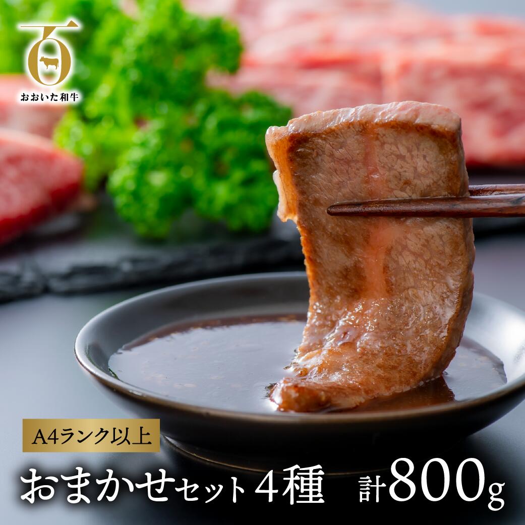 黒毛和牛 A5 A4 片桐さんの おおいた和牛 おまかせ カルビ 焼肉 セット 800g 半額