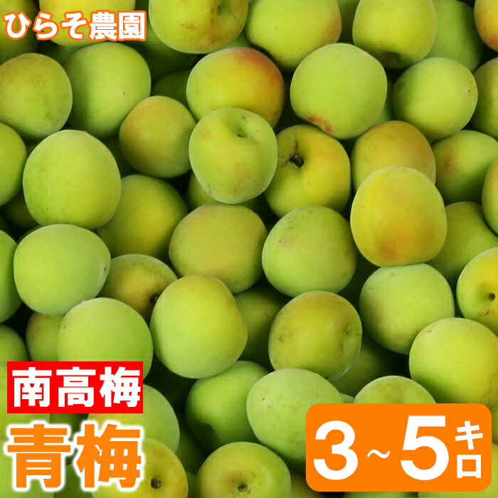 【ふるさと納税】ひらそ農園の青梅 3kg～5kg 梅 南高梅 青梅 梅干し 梅干 梅干し用 梅酒用 梅酒 梅シロップ 梅ジャム 3キロ 5キロ 数量限定 先行予約 6月 ＜004-701＞