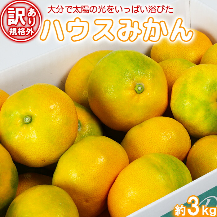 【ふるさと納税】【訳あり・規格外品】今村農園のハウスみかん 約3kg 先行予約 果物 フルーツ 傷 不揃い わけあり 甘い ＜107-001_7＞