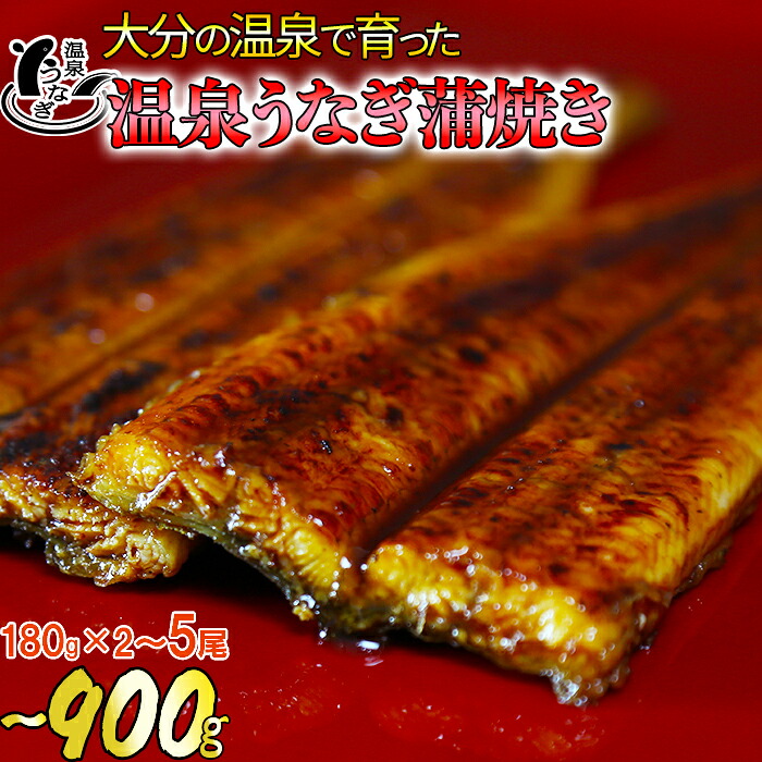 【ふるさと納税】 温泉うなぎ蒲焼 2～5尾（180gサイズ） 国産うなぎ 鰻 ＜104-704＞