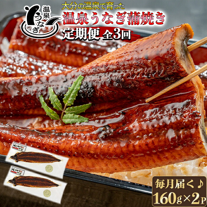 【ふるさと納税】 ＜定期便・全3回＞温泉うなぎ蒲焼 2尾（160gサイズ） ＜104-802＞