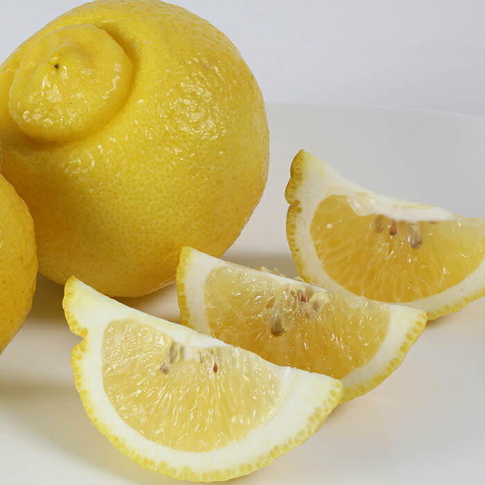 楽天市場 ふるさと納税 数量限定 阿部農園の はるか 7 5kg 黄色いみかん 先行予約 果物 フルーツ 25 A0140 大分県杵築市