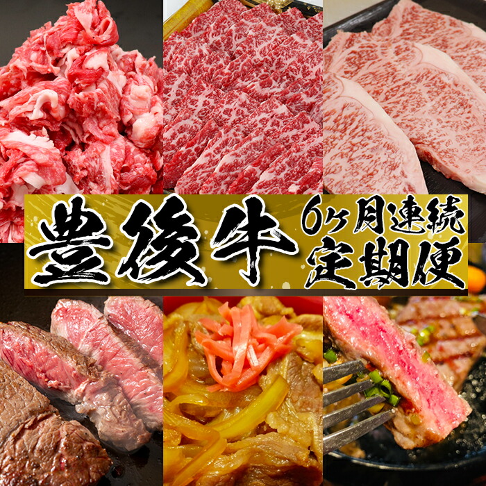 ふるさと納税】6か月連続！おおいた豊後牛定期便！ お楽しみ＜105 