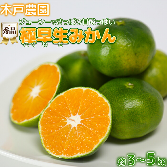 【ふるさと納税】極早生みかん！木戸農園のおおいた早生 約3～5kg（秀品） 先行予約 果物 フルーツ＜113-701_6＞