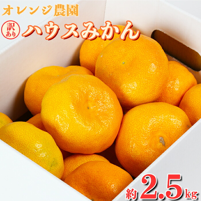 【ふるさと納税】【訳あり品】オレンジ農園のハウスみかん　約2.5kg 先行予約 果物 フルーツ 傷 不揃い＜114-001_5＞