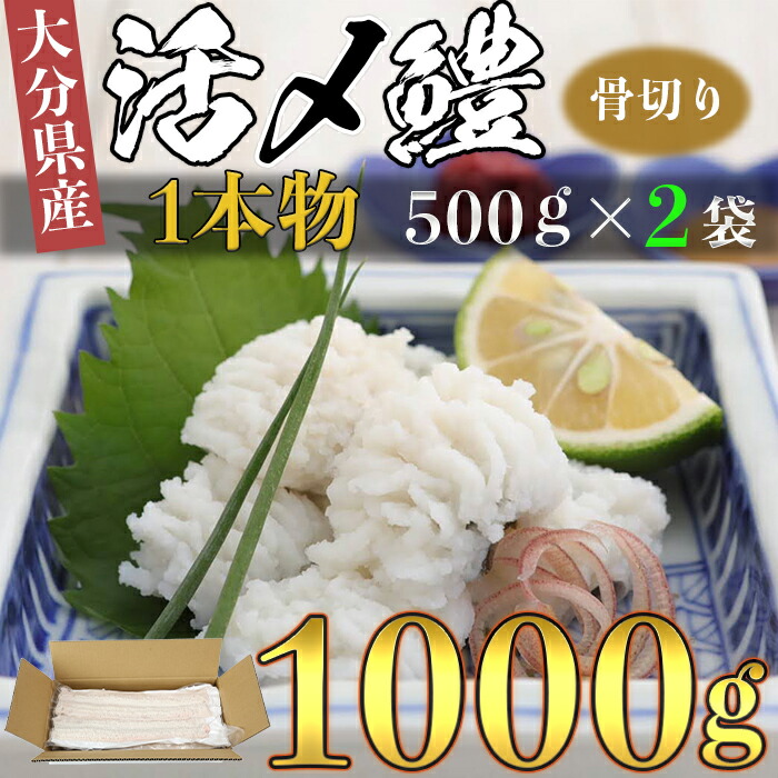 【ふるさと納税】大分県産活じめ鱧（はも）1本物 骨切り切身 たっぷり 1000g 湯引き 天ぷら しゃぶしゃぶ 鍋 魚 海鮮 父の日  ＜108-006_5＞