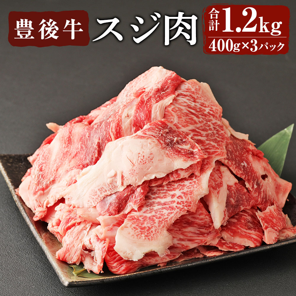 おおいた豊後牛 生ハンバーグ 合計1.6kg 160g×10個 惣菜 送料無料 冷凍 九州 国産 ハンバーグ 大分県産 豊後牛 和牛 牛ハンバーグ