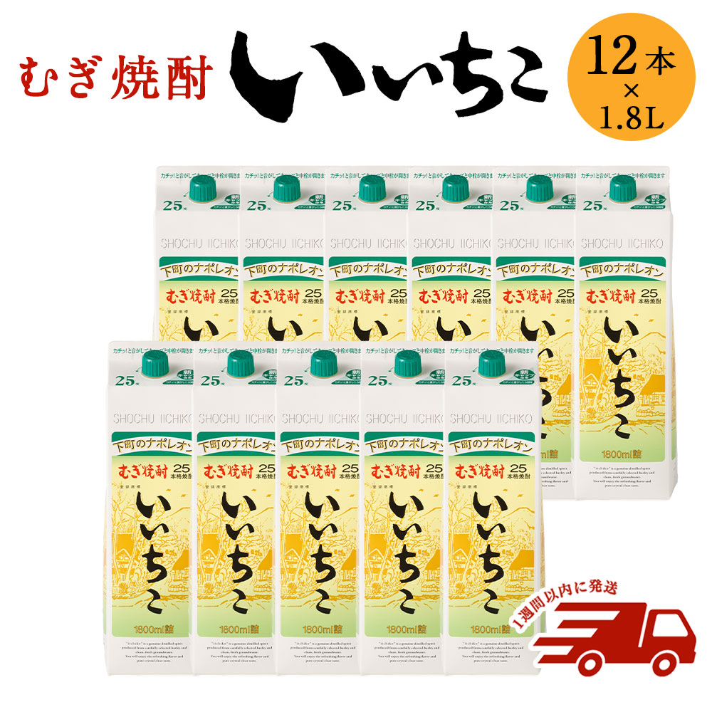 楽天市場】【ふるさと納税】いいちこパック25度 1800ml 12本 焼酎 麦