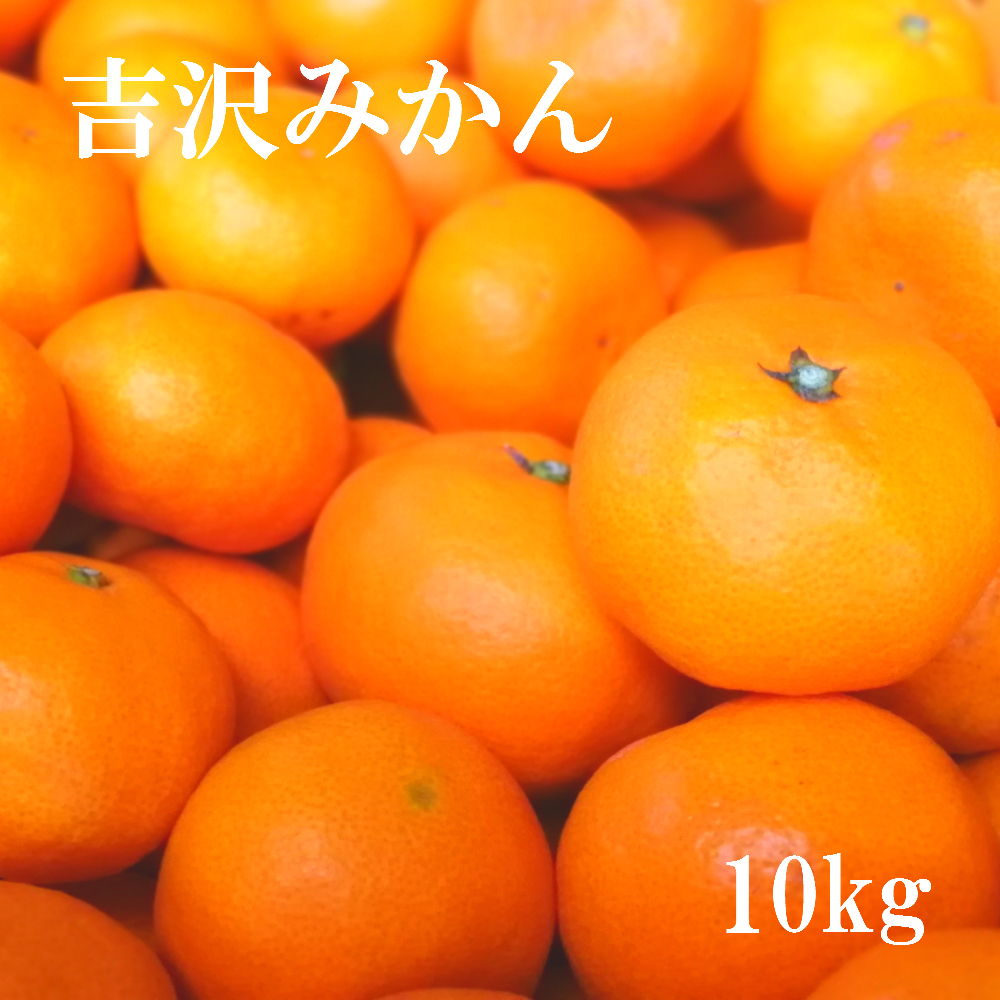 楽天市場 ふるさと納税 吉沢みかん 10kg ミカン 蜜柑 果物 期間限定 送料無料 大分県宇佐市