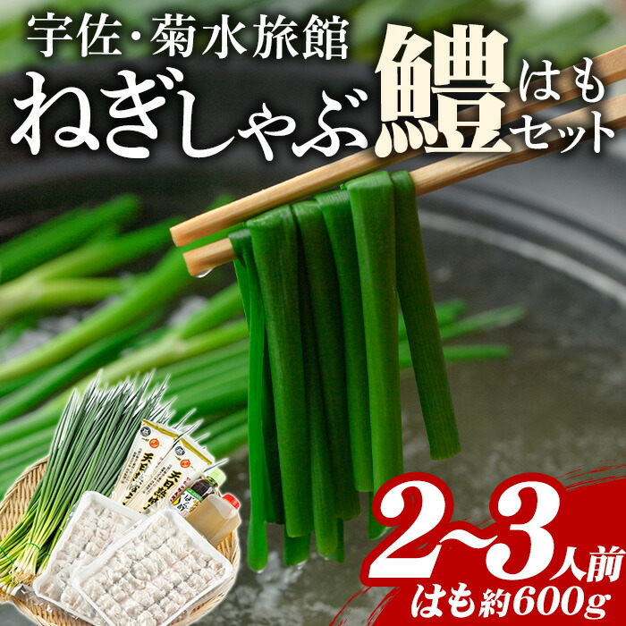 【ふるさと納税】ねぎしゃぶ(鱧はも)セット(5品)ねぎしゃぶ しゃぶしゃぶ 鱧 はも 鍋 お鍋 うどん付き セット【101500201】【菊水旅館】