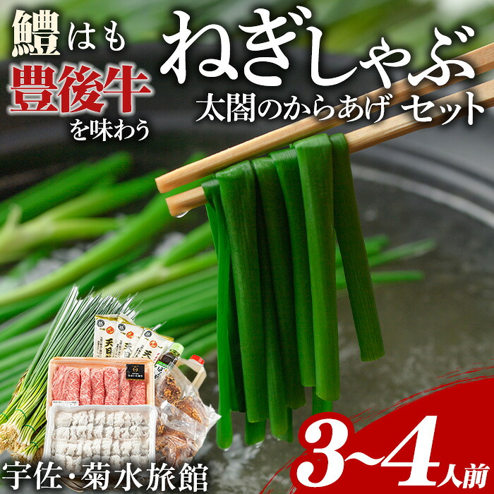 【ふるさと納税】ねぎしゃぶ＋太閤からあげ(7品)ねぎしゃぶ しゃぶしゃぶ おおいた和牛 鱧 はも 鍋 お鍋 唐揚げ からあげ セット【101500501】【菊水旅館】