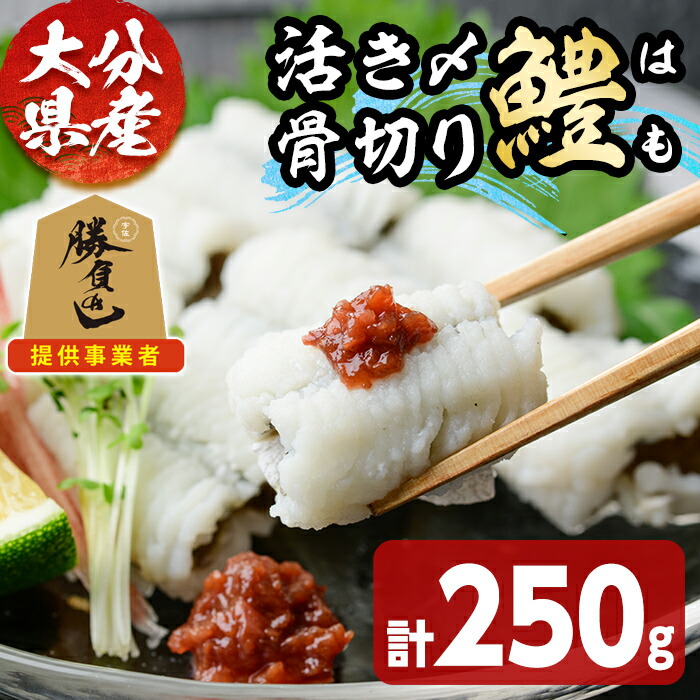 【ふるさと納税】大分県産活き〆骨切りハモ(計250g) 真空パック 冷凍 魚介 鱧 はも 活き〆 骨切り 急速冷凍 勝負めし 【101900200】【上野水産】