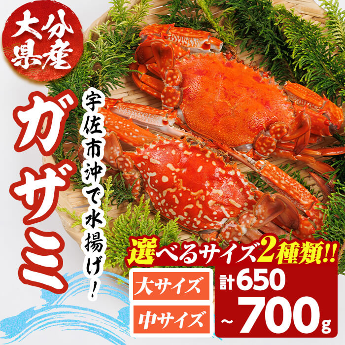 【ふるさと納税】＜サイズが選べる！＞あおがざみ(計650g~700g・大サイズor中サイズ) 蟹 ボイル 海鮮 かに 冷凍 【101901900・101902000】【上野水産】