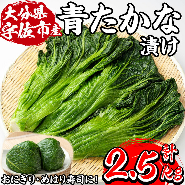 【ふるさと納税】自家農園栽培 青たかな漬け(2.5kg)たかな 高菜 ちりめん高菜 漬物 漬け物 ご飯のお供 おにぎり 自家農園 大分県産【103200100】【松本漬物】