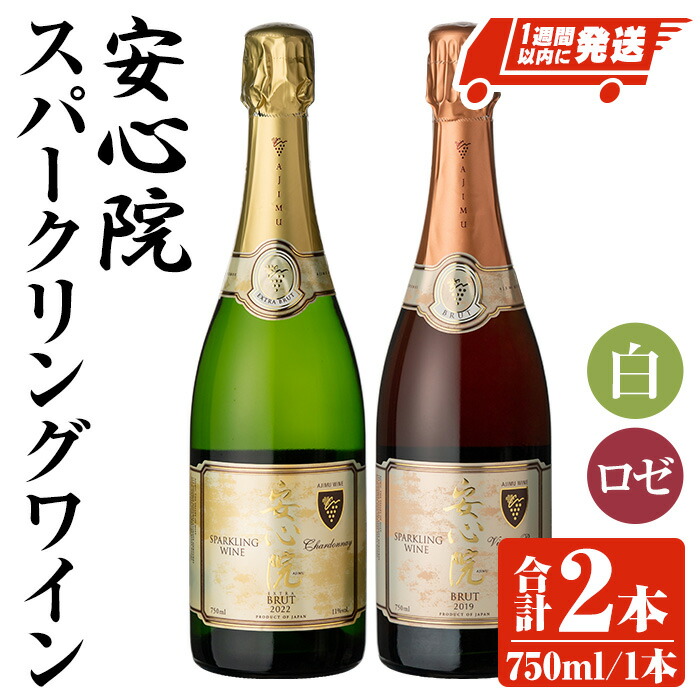 ふるさと納税 B-586 安心院＊小さなワイン工房　ワイン２本セット（白ワイン＋ロゼワイン） 大分県宇佐市
