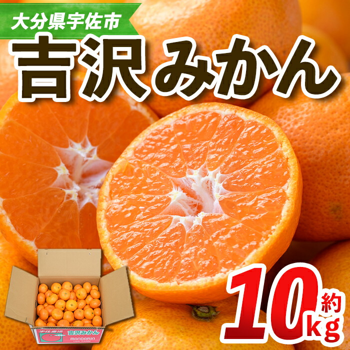 【ふるさと納税】＜先行予約受付中！2025年11月中旬から順次発送予定＞吉沢みかん(約10kg)みかん ミカン 蜜柑 柑橘 フルーツ 果物 くだもの 果実【108600101】【フルーツランド桐畑】