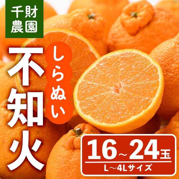 【ふるさと納税】＜先行予約受付中！2026年4月中旬より順次発送予定＞千財農園不知火(L～4L・16玉～24玉)みかん ミカン 蜜柑 しらぬい 柑橘 フルーツ 果物 くだもの 果実【109000301】【千財農園】