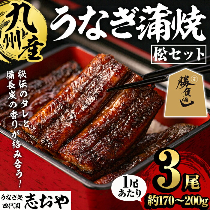 【ふるさと納税】うなぎ処 四代目 志おや 九州産うなぎ 蒲焼(松・3本)うなぎ 鰻 ウナギ 国産 九州産 蒲焼き うな重 ひつまぶし タレ付き 勝負めし 【109400201】【志おや】
