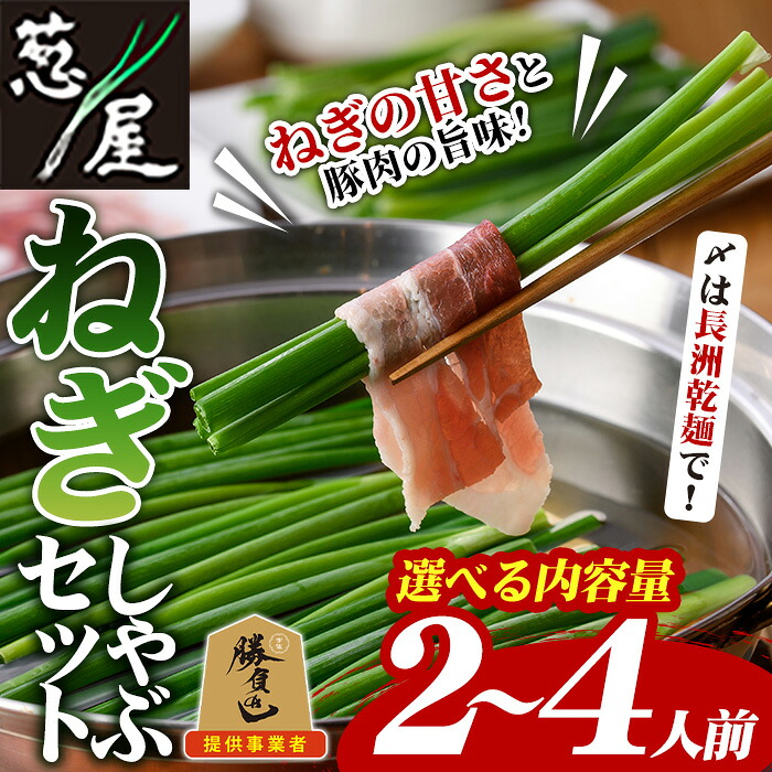 【ふるさと納税】<内容量が選べる!>鉄板バル葱屋の ねぎしゃぶセット(2~4人前)ねぎしゃぶ しゃぶしゃぶ 豚肉 ぶた肉 ぶたにく お肉 鍋セット 乾麺 出汁 だし ポン酢 勝負めし 【110700501・110700801】【葱屋おおくぼ】|大分県宇佐市