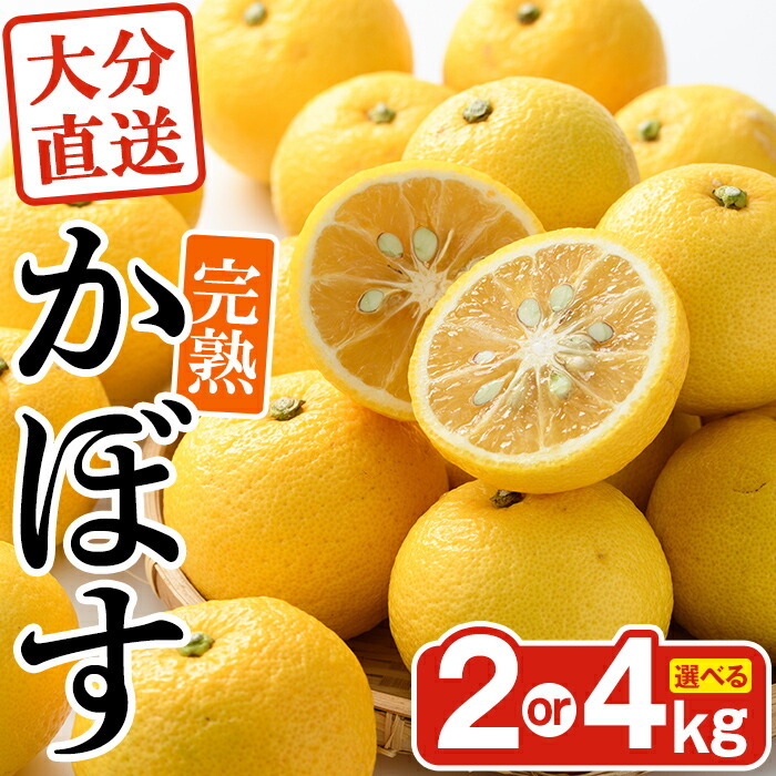 【ふるさと納税】＜先行予約受付中！2025年11月中旬より順次発送予定＞＜容量を選べる！＞完熟かぼす (約2kg or 4kg) かんきつ 柑橘 期間限定 おもとの丘【111300300・111300401】【未来農林】