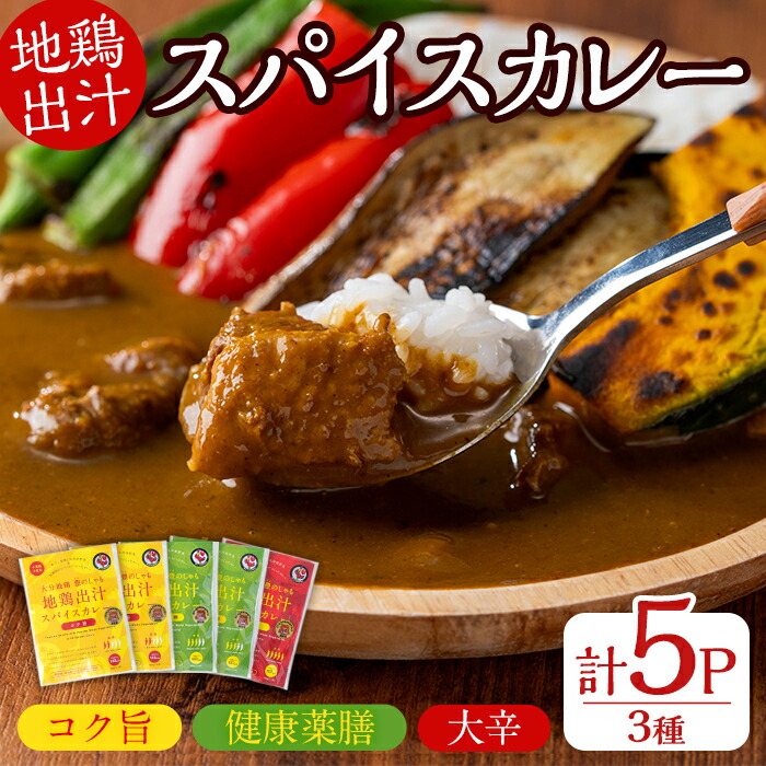 【ふるさと納税】大分地鶏豊のしゃも地鶏出汁スパイスカレー(計900g・180g×5パック)レトルト 簡単調理 惣菜 時短 常温 ご当地カレー【112400301】【天峯ファーム】