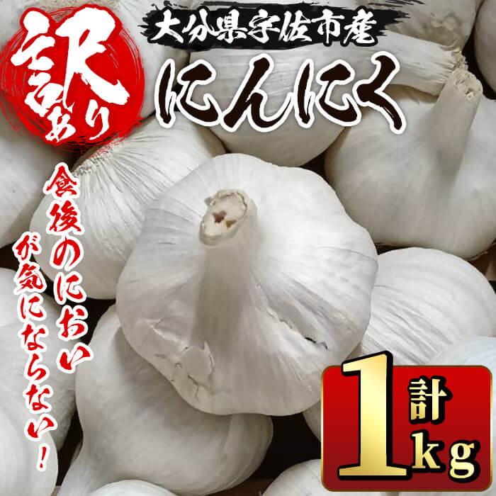 【ふるさと納税】＜先行予約受付中！2026年9月上旬以降順次発送予定＞＜訳あり・不揃い＞食後のにおいが気にならないニンニク(計1kg) にんにく ニンニク 野菜【116600200】【シイズンドアグリ】