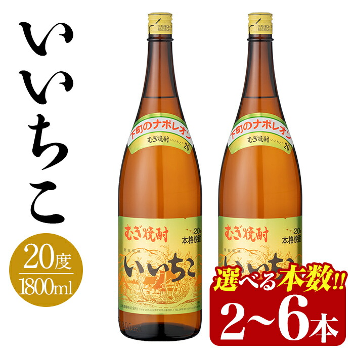 【ふるさと納税】＜本数が選べる！＞いいちこ ビン 20度(1800ml・2本、4本、6本)酒 お酒 焼酎 麦焼酎 アルコール 三和酒類【114002300・114002400・114002500】【一般社団法人　地域商社USA】｜大分県宇佐市