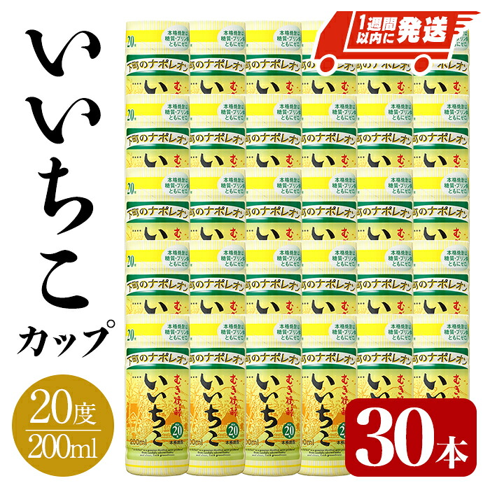 【ふるさと納税】いいちこ カップ 20度(計6L・200ml×30本) 酒 お酒 むぎ焼酎 麦焼酎 常温 いいちこ 三和酒類 カップ スピード発送 【107305700】【時枝酒店】 20,160円