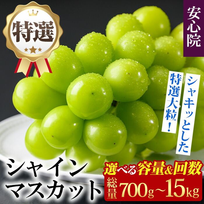 【ふるさと納税】特選 シャインマスカット 【レビューキャンペーン実施中】 (約700g/5kg×1回・3回) ＜先行予約受付中！2025年8月下旬より順次発送予定＞＜北海道 沖縄 離島配送不可＞ぶどう 葡萄 フルーツ 定期便 【106300201】【大分県農業協同組合 北部エリア】