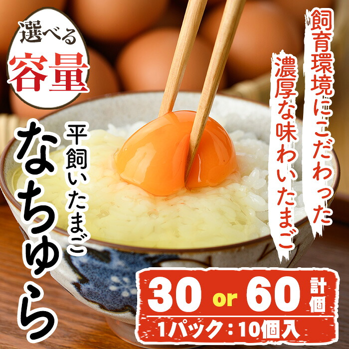 【ふるさと納税】＜容量が選べる！＞平飼い卵 なちゅら(計30個 or 60個) 卵 玉子 鶏卵 卵かけご飯 玉子焼き 【108800400・108800500】【カジワラファーム】 9,240円