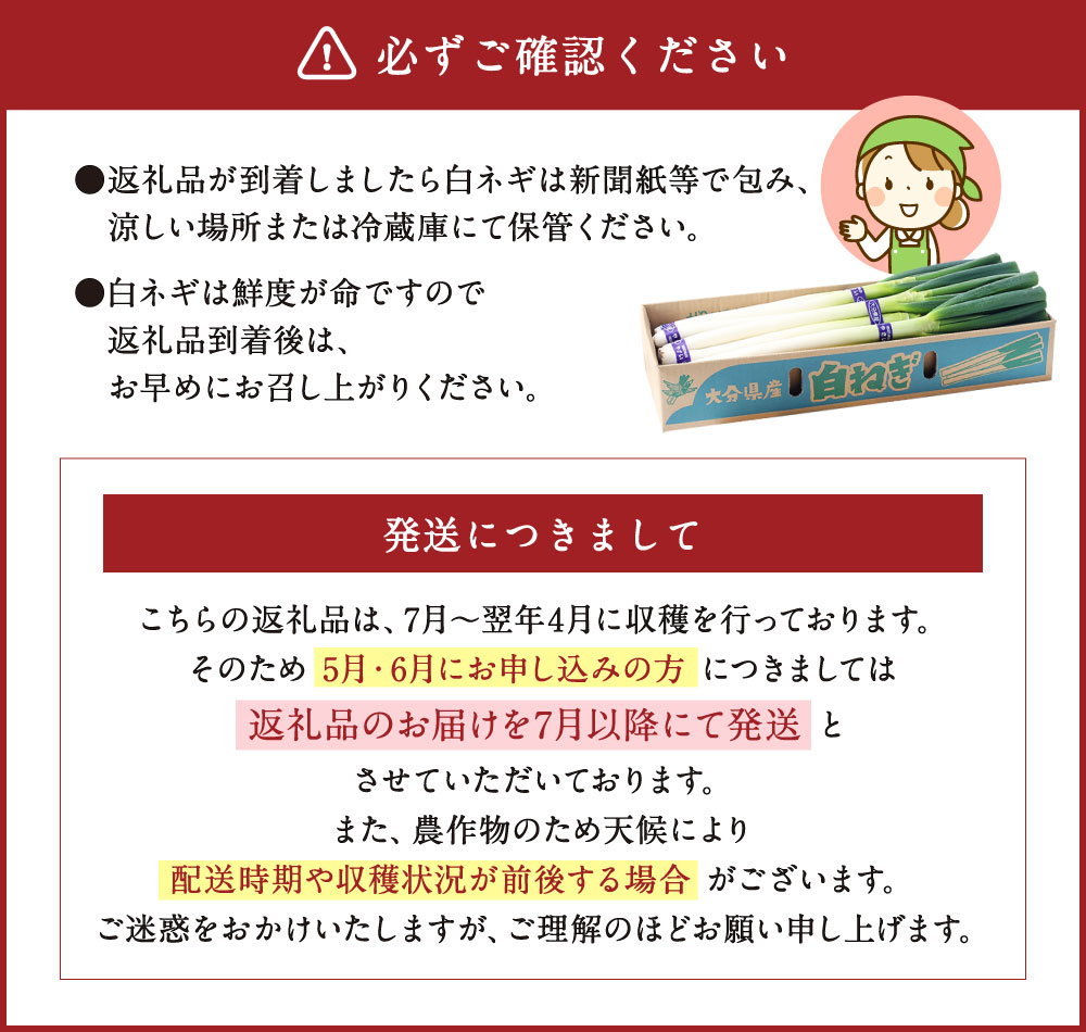 市場 ふるさと納税 190ml×2本 白ネギソース Lサイズ9本 ねぎ 2Lサイズ8本 白ネギ 白ねぎ 野菜