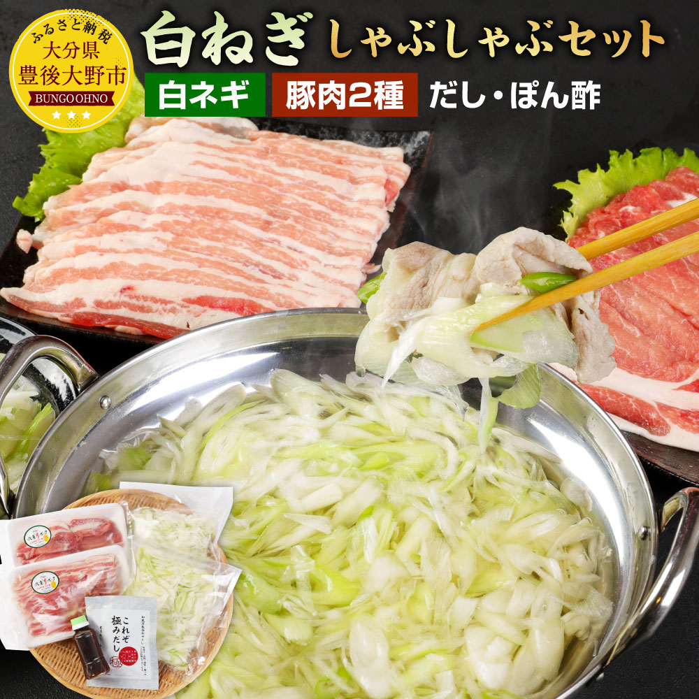 高品質の人気 白ネギ しゃぶしゃぶ セット 600g 豚肉 ロース バラ 各250g だしパック5袋 ぽん酢150ml 鍋セット 鍋 具材付き 惣菜 おかず 冷凍 九州産 大分県 送料無料 Fucoa Cl