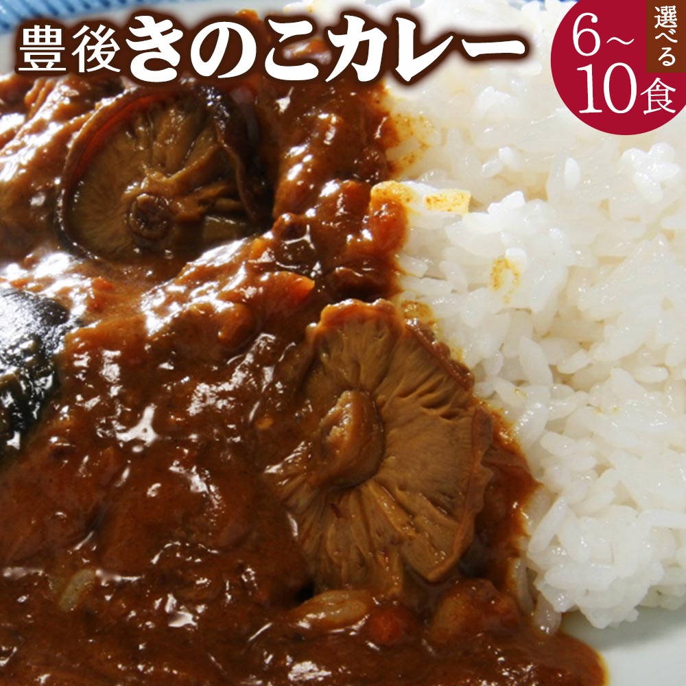 【ふるさと納税】豊後 きのこ カレー ＜選べる＞ 6食 10食 セット 1袋180g 大分県産 椎茸 ご自宅用 常温保存可能 ローリングストック レトルト パウチ 簡単 ギフト 贈答 九州 大分県 送料無料