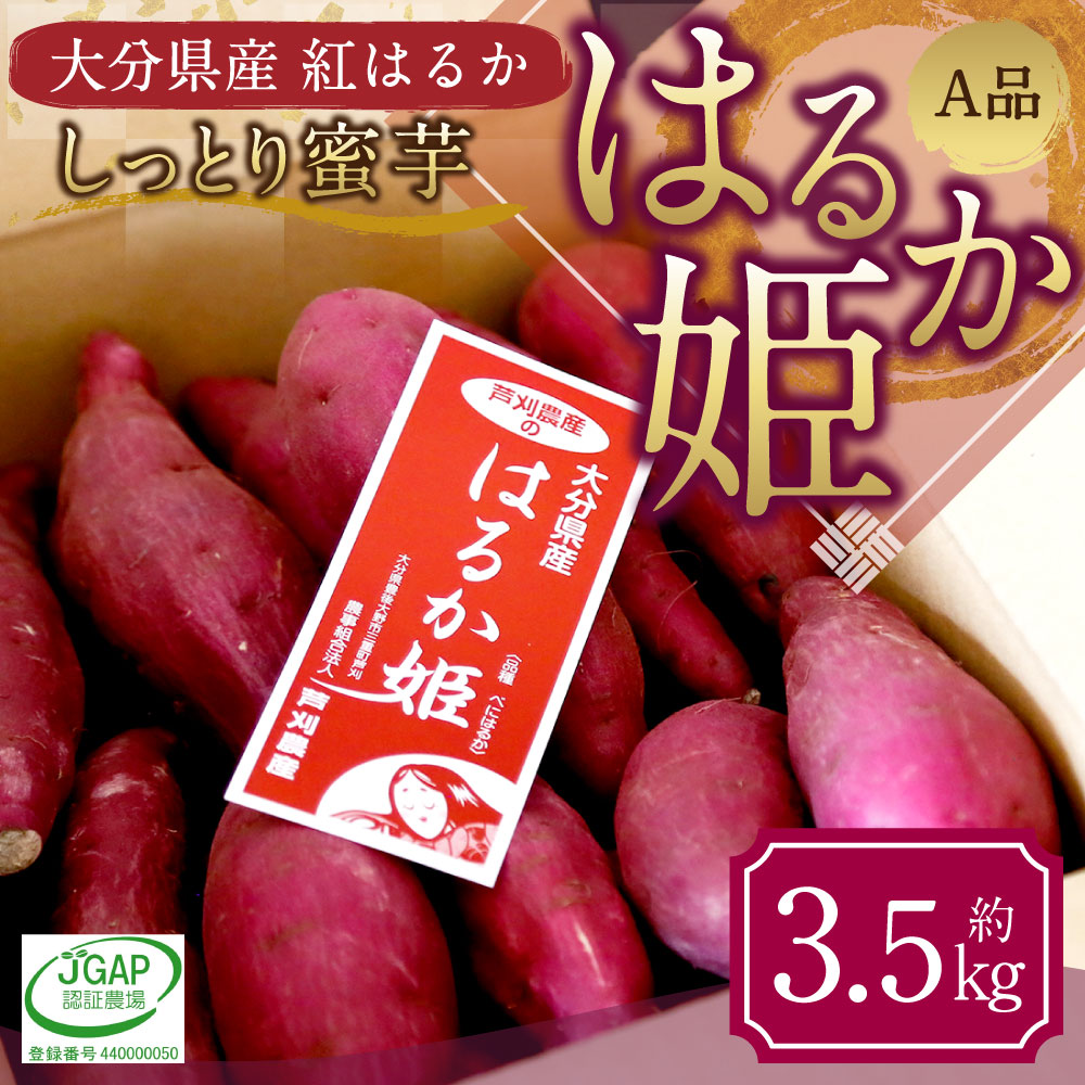 はるか姫 A品 約3.5kg