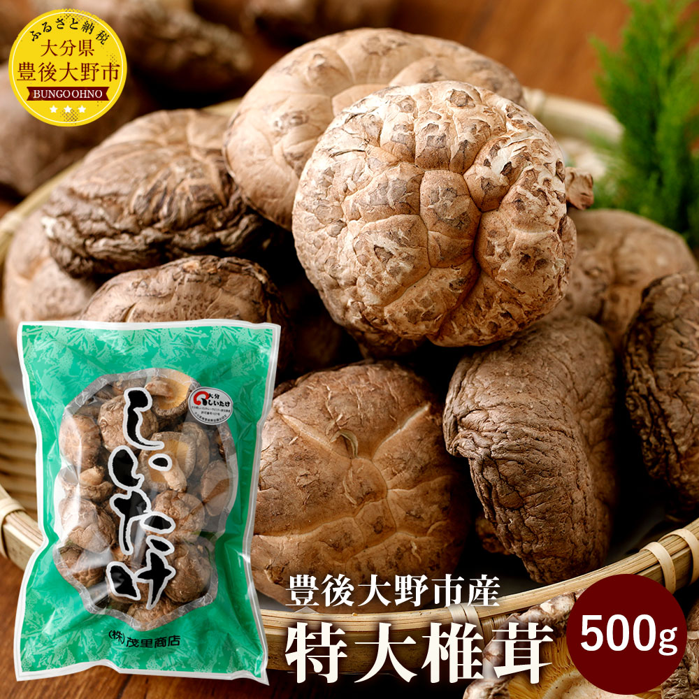特大椎茸 500g 大分県豊後大野市産 送料無料 しいたけ 干ししいたけ ...