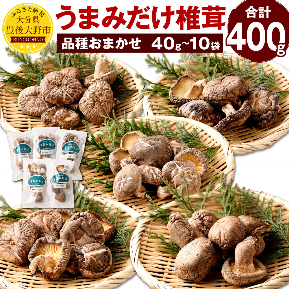 【ふるさと納税】うまみだけ 食べくらべセット 椎茸 合計400g 40g×10袋 品種おまかせ 食べ比べ セット しいたけ 干ししいたけ 乾燥椎茸 大分県産 国産 九州 送料無料