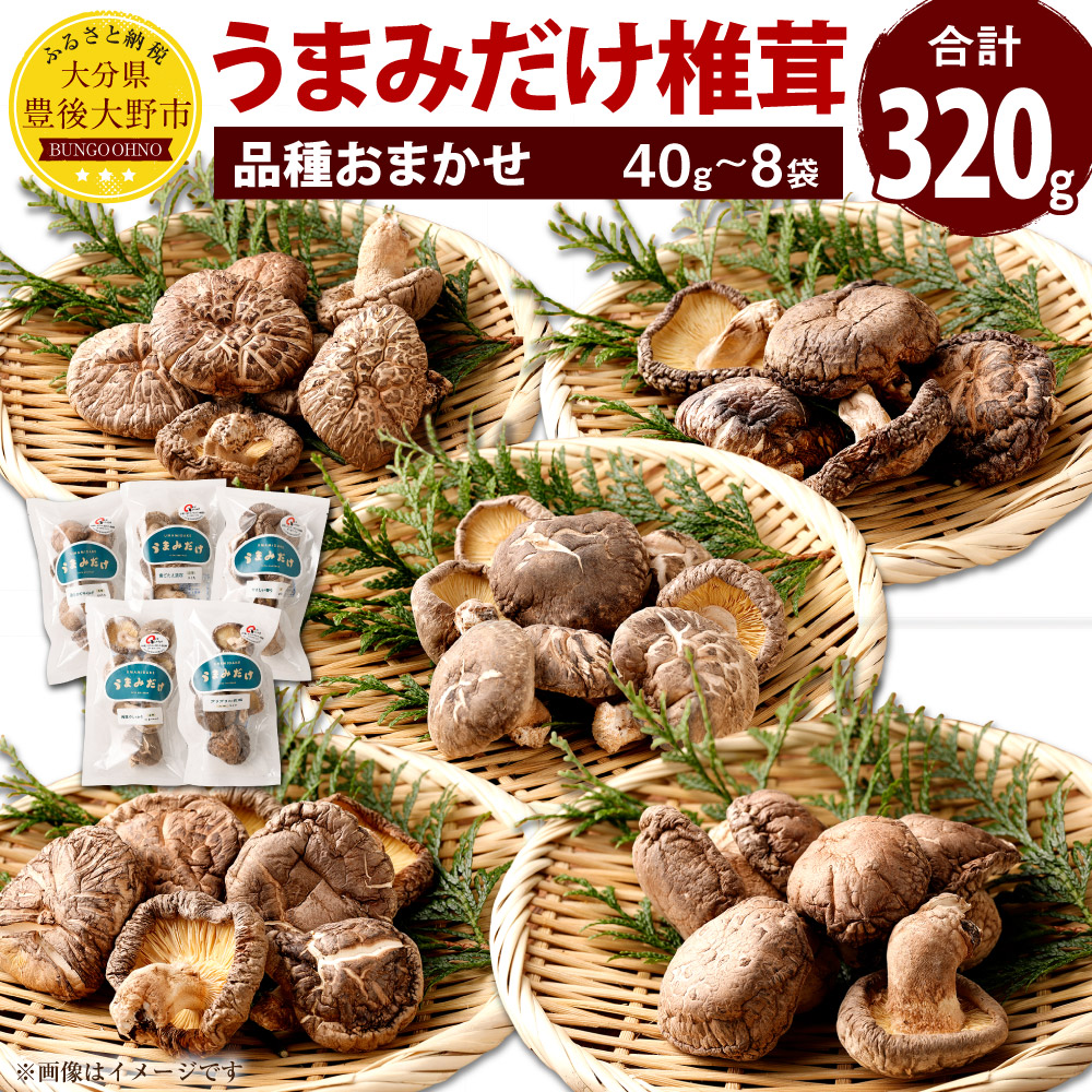 【ふるさと納税】うまみだけ 食べくらべセット 椎茸 合計320g 40g×8袋 品種おまかせ 食べ比べ セット しいたけ 干ししいたけ 乾燥椎茸 大分県産 国産 九州 送料無料|大分県豊後大野市