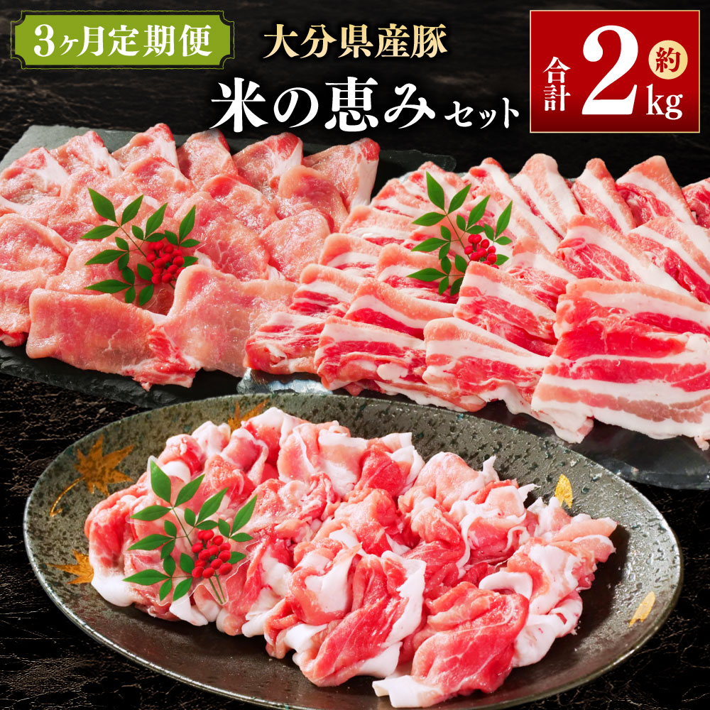 【ふるさと納税】【3ヶ月定期便】大分県産豚 米の恵みセット 合計約2kg 米の恵み 豚肉 月替わり 食べ比べ 3回 定期便 料理 お肉 肉 しゃぶしゃぶ 炒めもの 焼肉 豚バラスライス 豚ローススライス 切り落とし 冷凍 国産 九州産 大分県産 送料無料