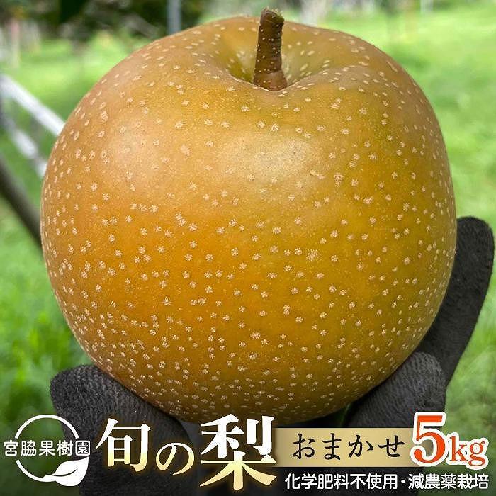 【ふるさと納税】【2025年8月下旬以降より発送】旬の梨おまかせ5kg・6-14玉（自家製有機肥料・減農薬・化学肥料無使用） | 梨 5kg 由布院 湯布院 由布市 大分県 九州 フルーツ 果物 お取り寄せ 国産 送料無料 ゆふいん おすすめ