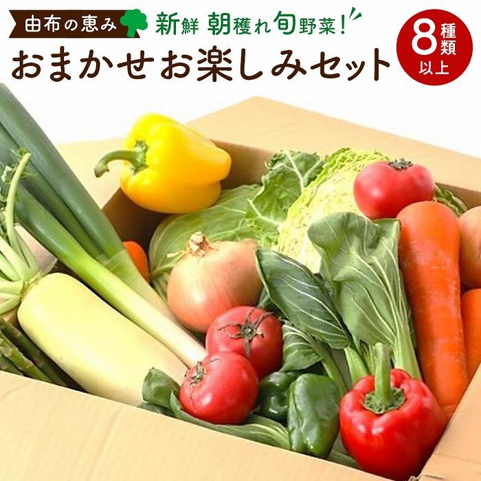 【ふるさと納税】由布の恵み【新鮮 朝穫れ旬野菜！8種類以上！】おまかせお楽しみセット | 野菜 詰合せ 詰め合わせ 新鮮 湯布院 由布院 ゆふいん 大分県 由布市 大分 返礼品 お取り寄せグルメ 取り寄せ