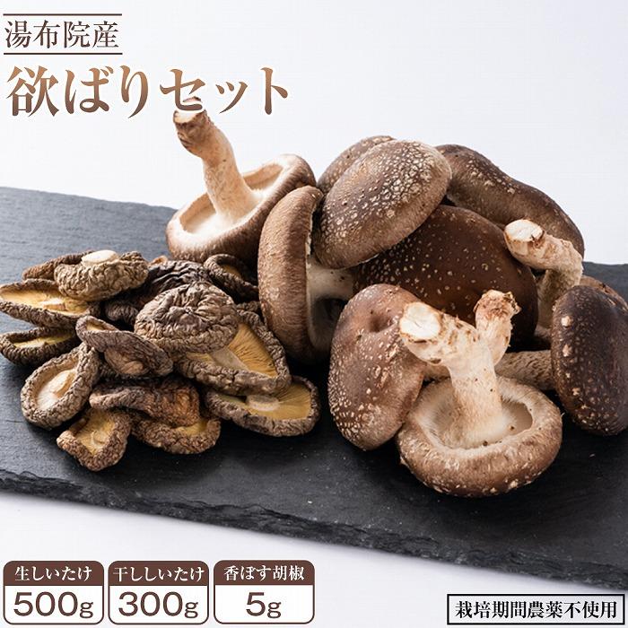 楽天市場】【ふるさと納税】大分県産しいたけ 「どんこ」 300g（150g×2袋） | しいたけ 椎茸 シイタケ どんこ どんこ椎茸 大分県 由布市  納税 お取り寄せグルメ お取り寄せ 取り寄せ グルメ きのこ キノコ 湯布院 由布院 ゆふいん : 大分県由布市