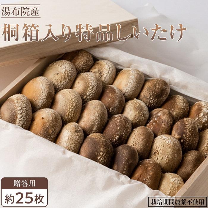 【ふるさと納税】【全国銅賞受賞】<贈答用>桐箱入り特品しいたけ(約400g・サイズ混合約25枚)|栽培期間農薬不使用 | シイタケ きのこ 返礼品 支援 お取り寄せグルメ お取り寄せ グルメ ギフト 名産品 贈答 ご当地 国産 湯布院 由布院|大分県由布市