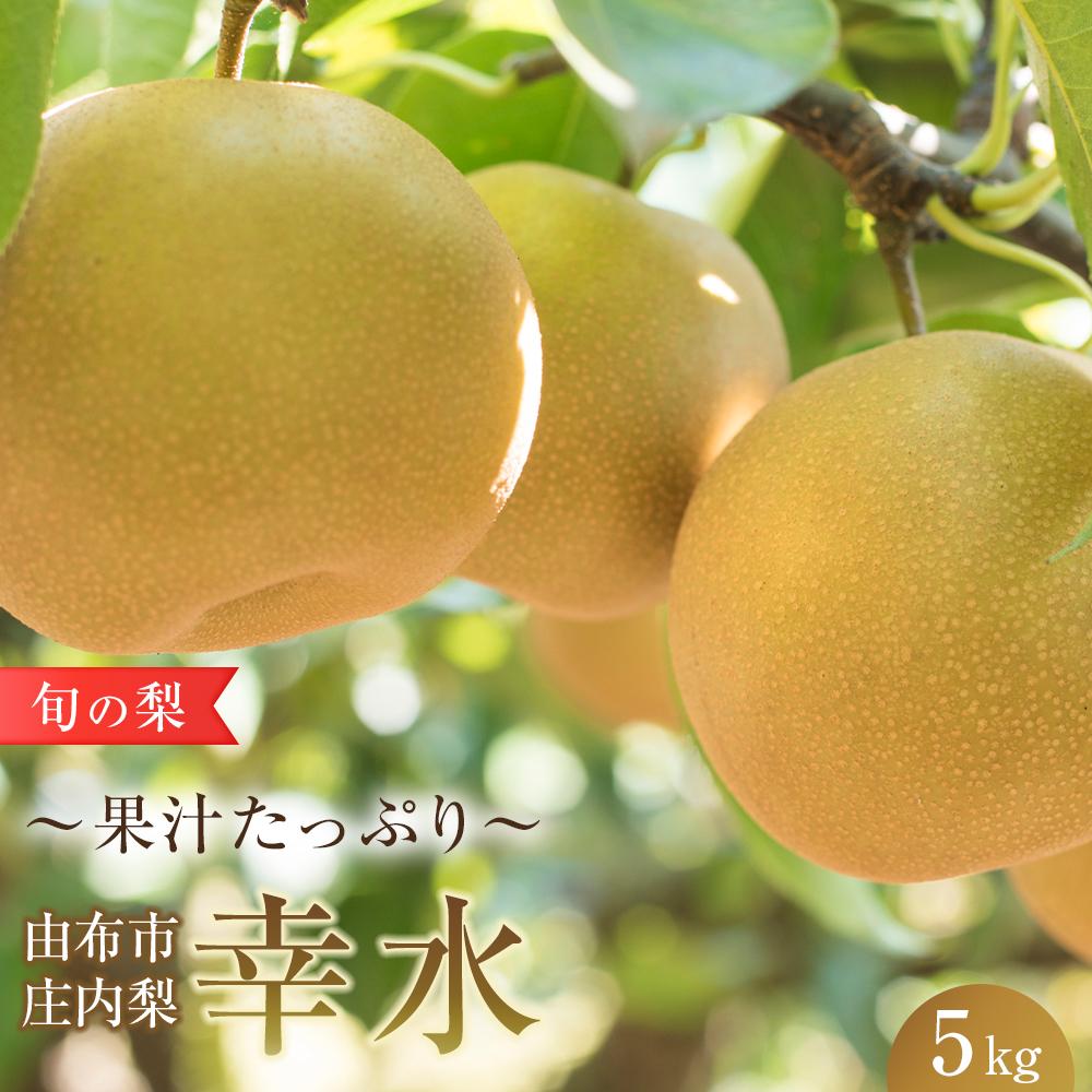 【ふるさと納税】旬の梨 幸水 5kg 庄内梨 大塚梨園＜2025年8月中旬以降発送＞ | 梨 なし 5kg 由布院 湯布院 由布市 大分県 九州 フルーツ 果物 お取り寄せ 国産 送料無料 ゆふいん おすすめ 数量限定 期間限定