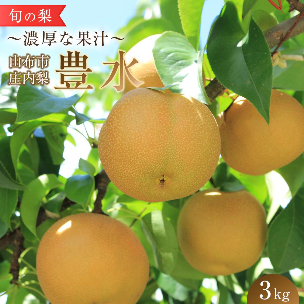 【ふるさと納税】旬の梨 豊水 3kg 庄内梨 大塚梨園＜2025年8月下旬以降発送＞ | 梨 なし 3kg 由布院 湯布院 由布市 大分県 九州 フルーツ 果物 お取り寄せ 国産 送料無料 ゆふいん おすすめ 数量限定 期間限定
