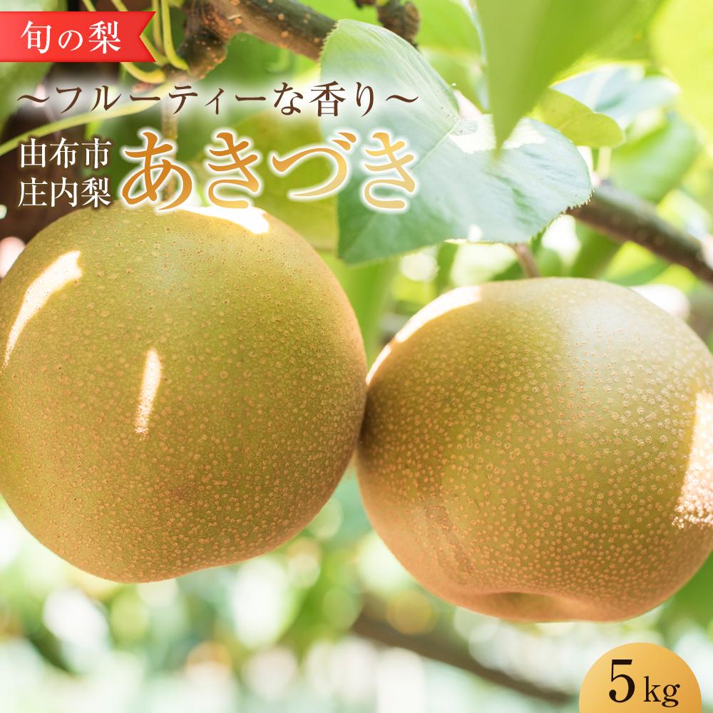 【ふるさと納税】旬の梨 あきづき 5kg 庄内梨 大塚梨園＜2025年9月上旬以降発送＞ | 梨 なし 5kg 由布院 湯布院 由布市 大分県 九州 フルーツ 果物 お取り寄せ 国産 送料無料 ゆふいん おすすめ 数量限定 期間限定