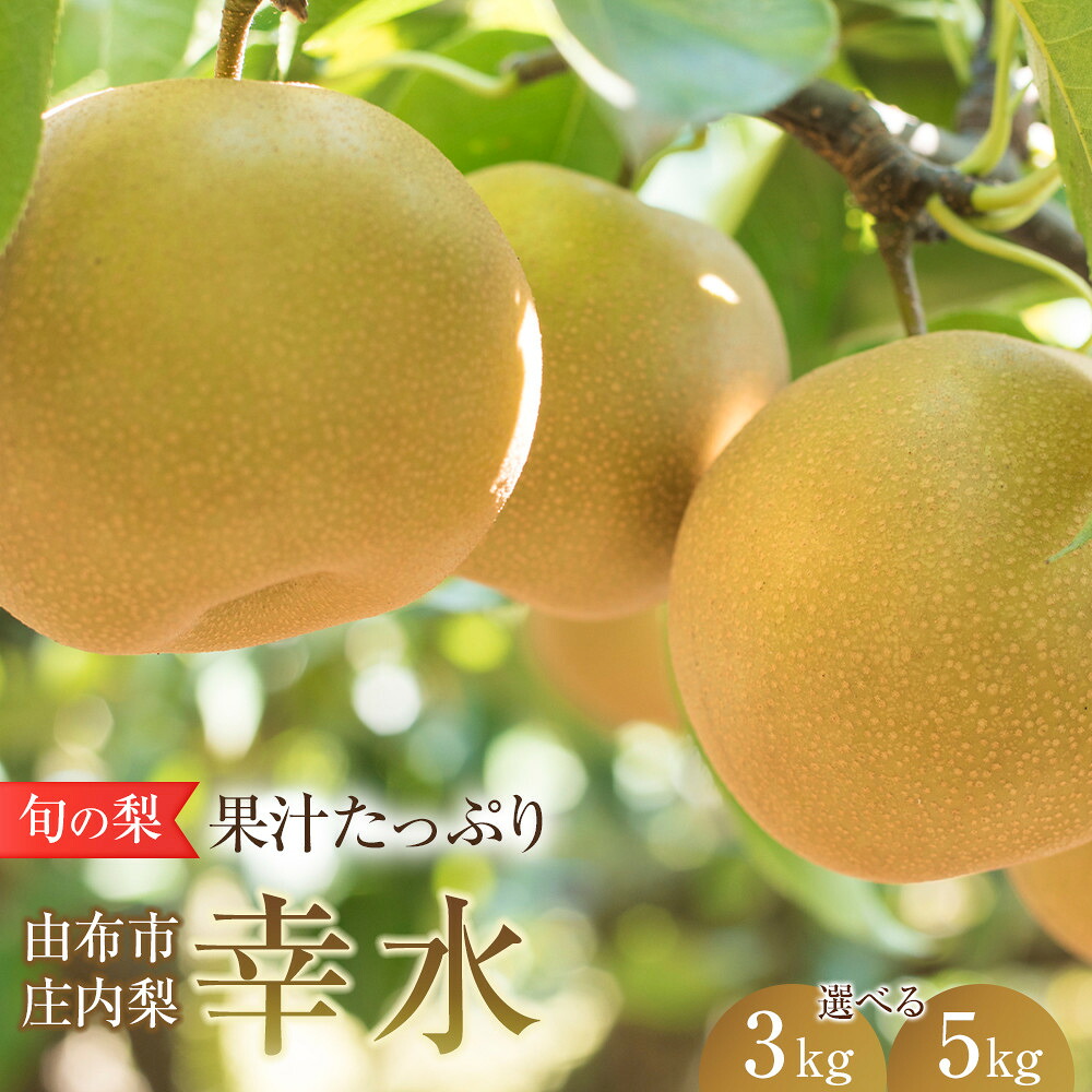 【ふるさと納税】＜選べる容量＞旬の梨 幸水 3kg・5kg 庄内梨 大塚梨園＜2026年8月中旬以降発送＞ | 梨 なし 3kg 5kg 由布院 湯布院 由布市 大分県 九州 フルーツ 果物 お取り寄せ 国産 送料無料 ゆふいん おすすめ 数量限定 期間限定｜大分県由布市