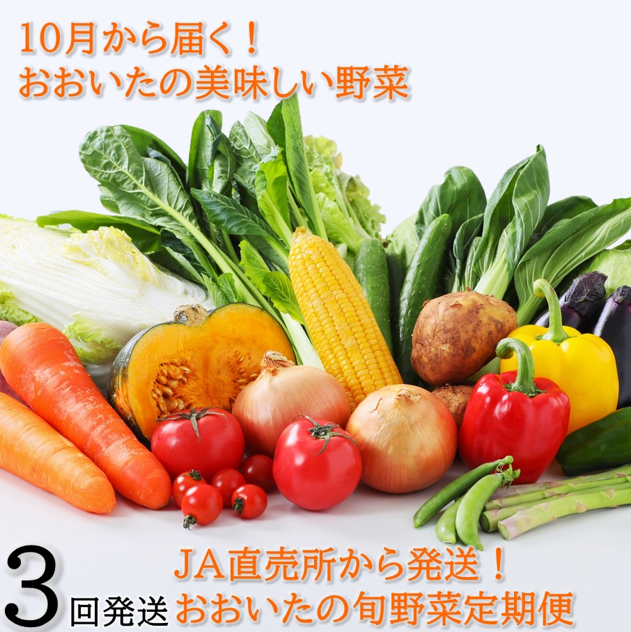 【ふるさと納税】10月からお届け!おおいたの旬野菜定期便/計3回発送