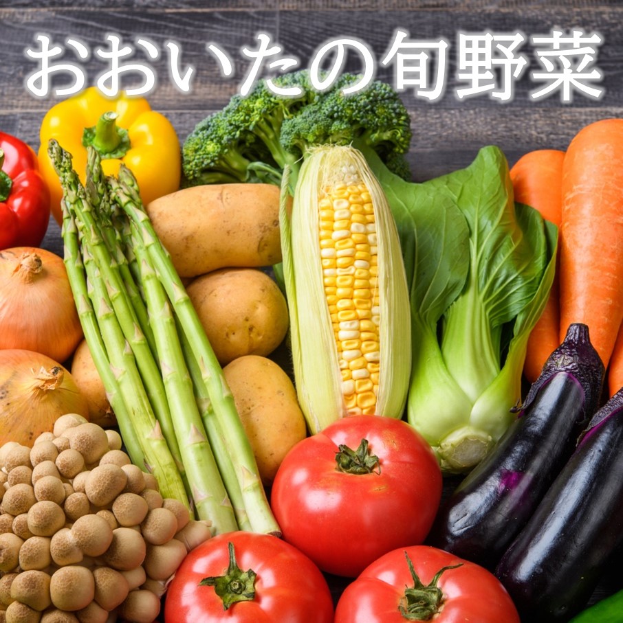 【ふるさと納税】おおいたの旬野菜 10～13品 詰め合わせ｜大分県国東市