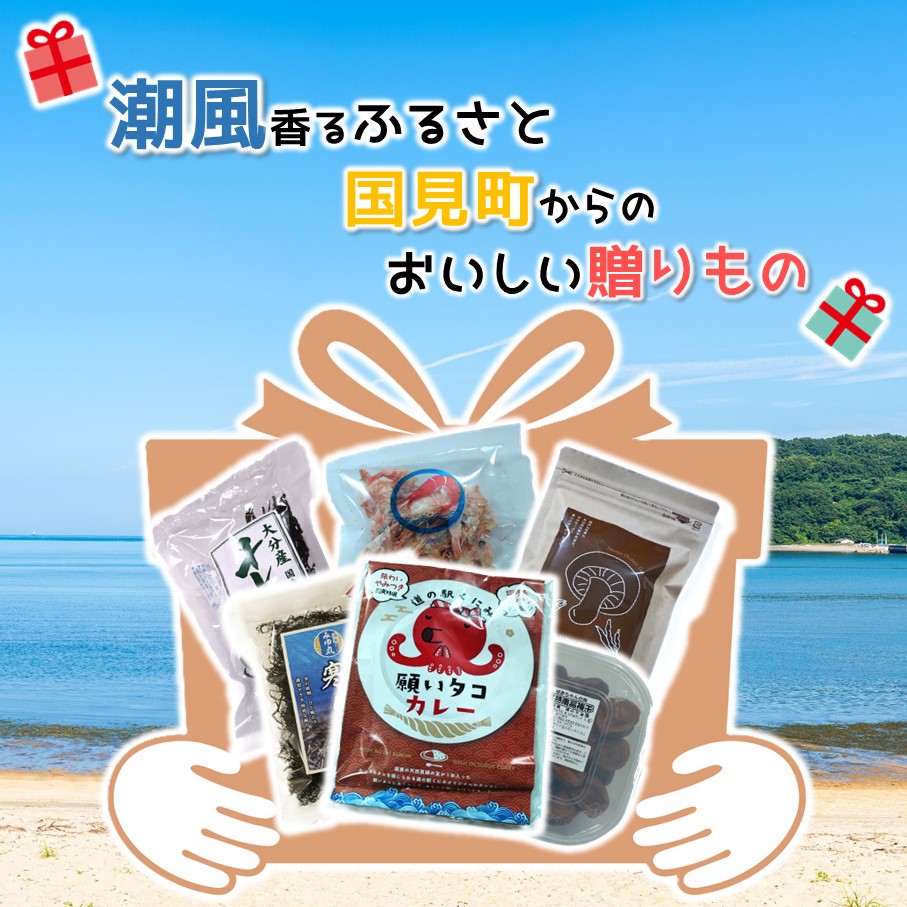 【ふるさと納税】【数量限定】 潮風香るふるさと 国見町からのおいしい贈りもの 大分県 セット 詰合せ カレー わかめ ひじき 梅干し えびせん 椎茸